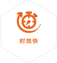 池州到意大利物流公司